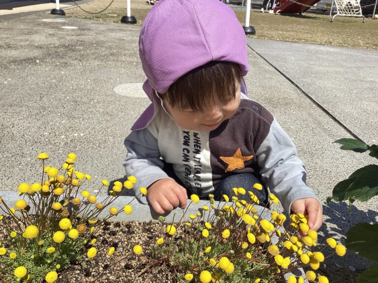 1歳児　だいちチーム「園庭で見つけたよ！」
